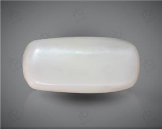 Natural White Coral ( Safed Moonga) Certified  9.94 CTS. ( 91451 )